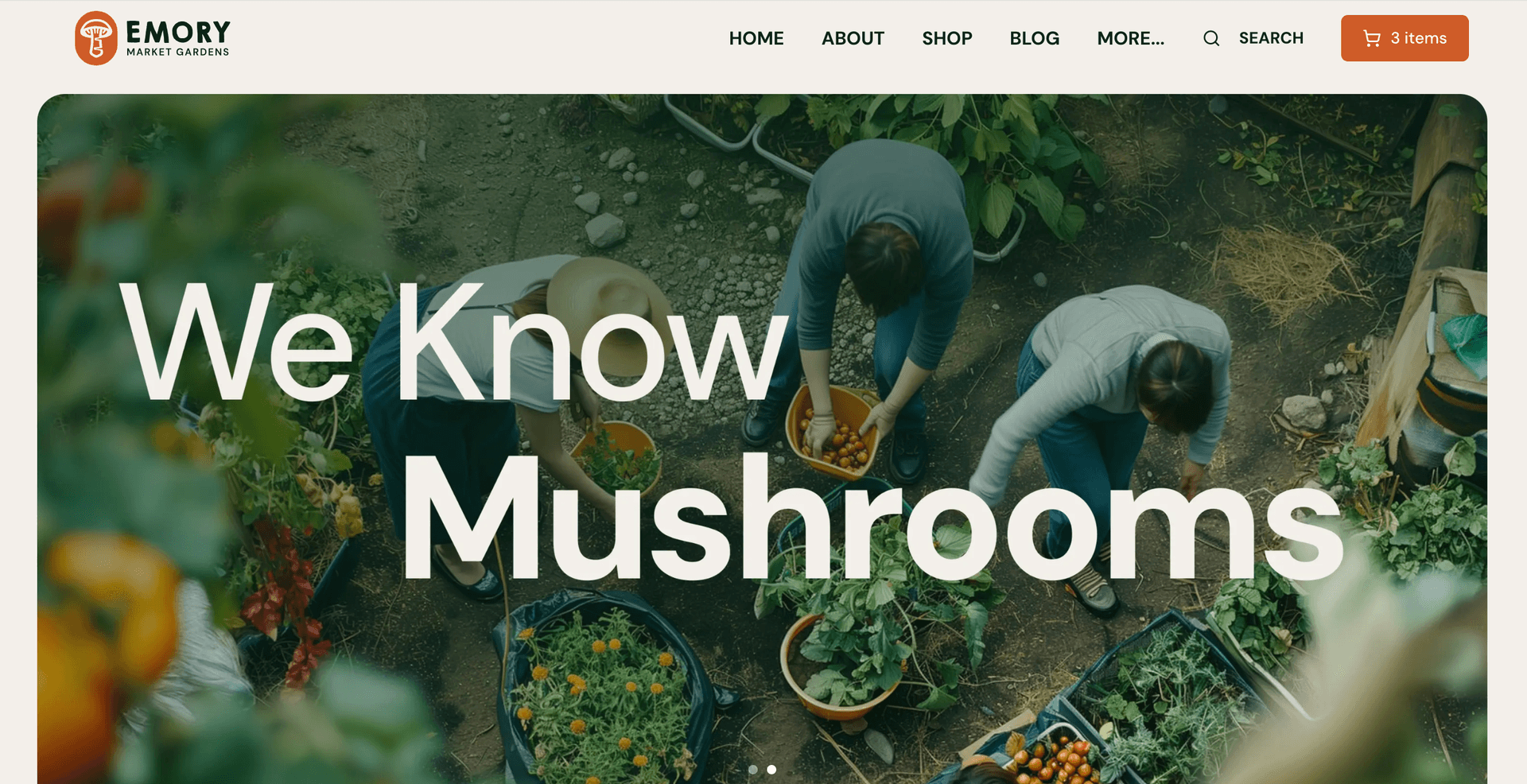 Ecommerce hero image