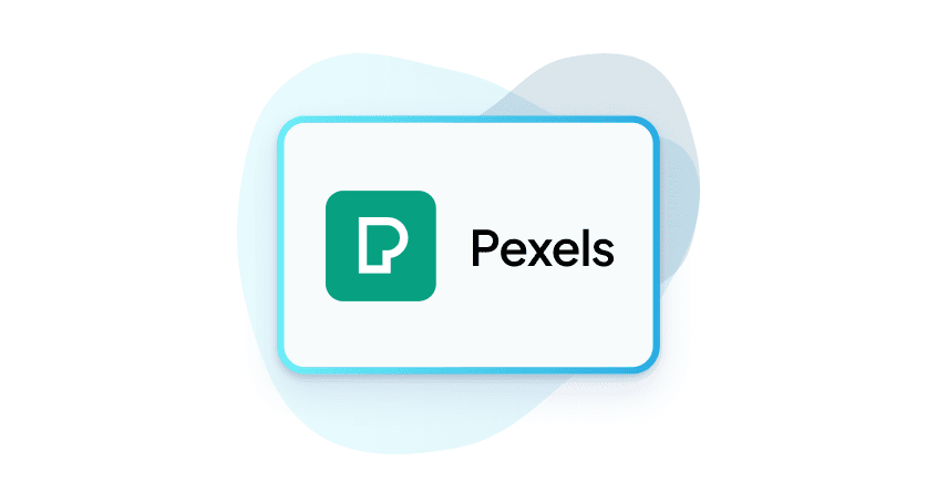 Pexels hero image image 0